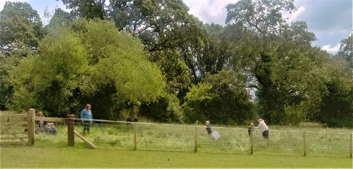 2019-6-10 fieldwork JPowell